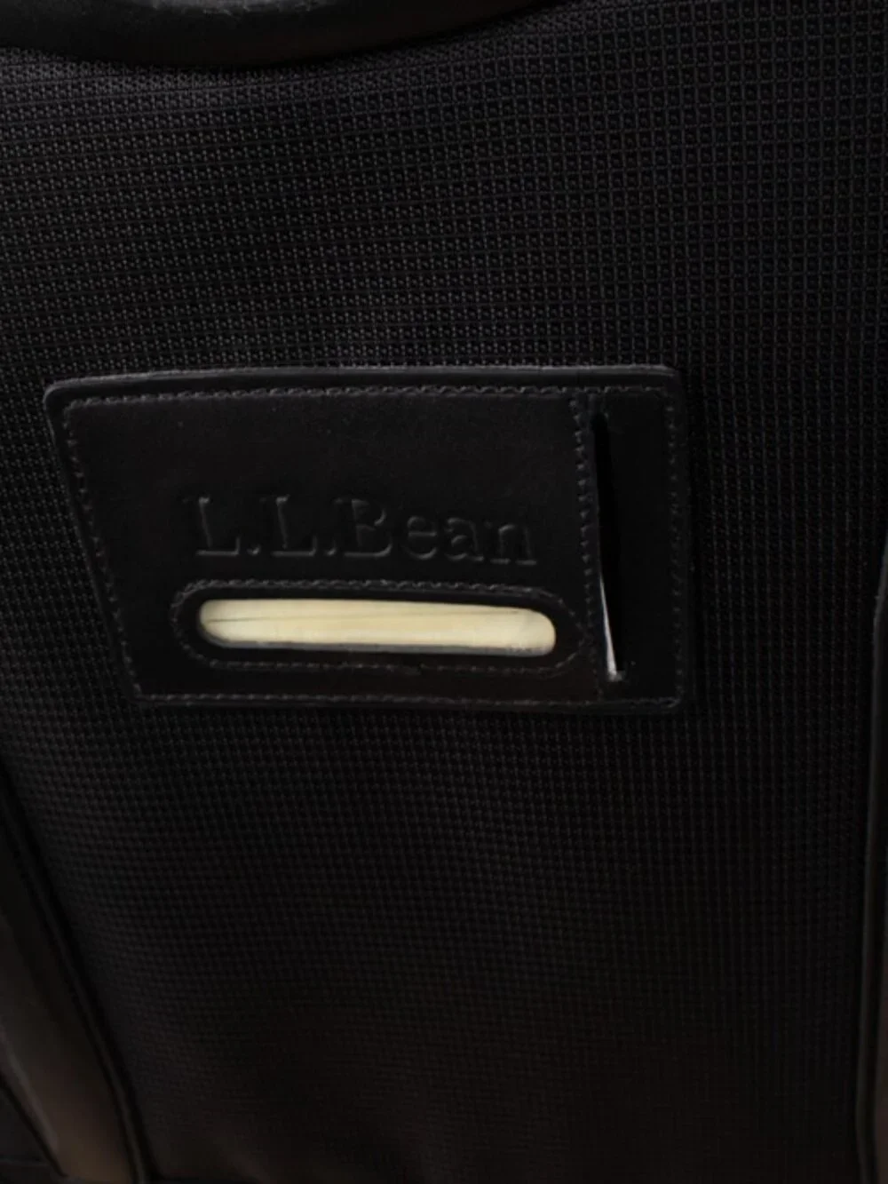 L.L. Bean 22